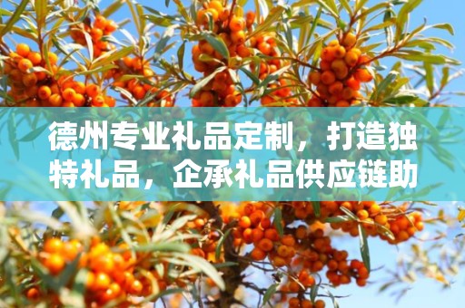 德州专业礼品定制，打造独特礼品，企承礼品供应链助力商务推广